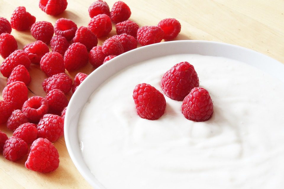 Yogurt with Stevia and Lactic Acid